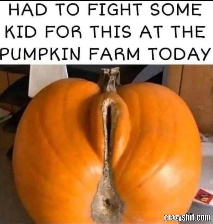 Best Pumpkin Ever