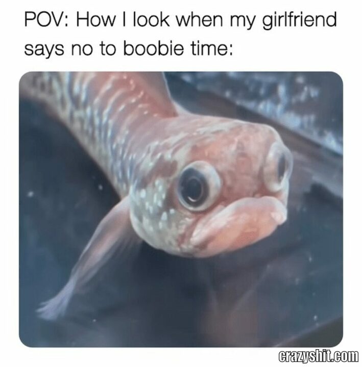 no boobie time