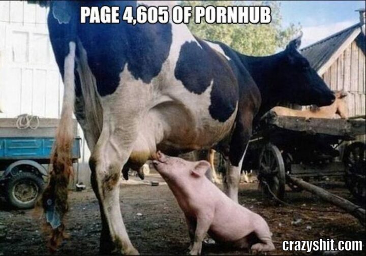 pornhub