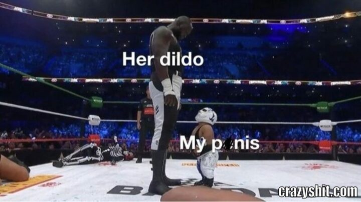 dildovs penis