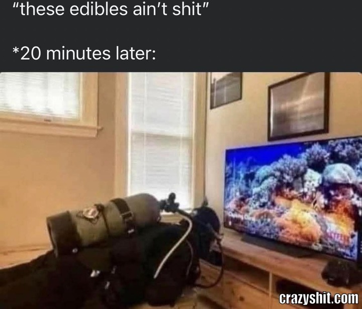 Explore The Ocean
