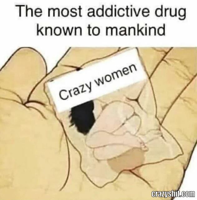Bitches Be Wild