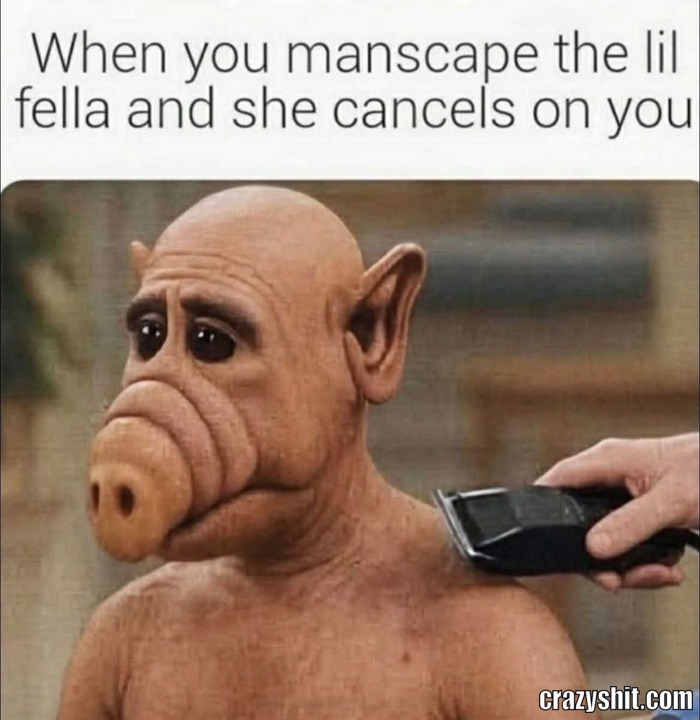 Poor Shaved Dick