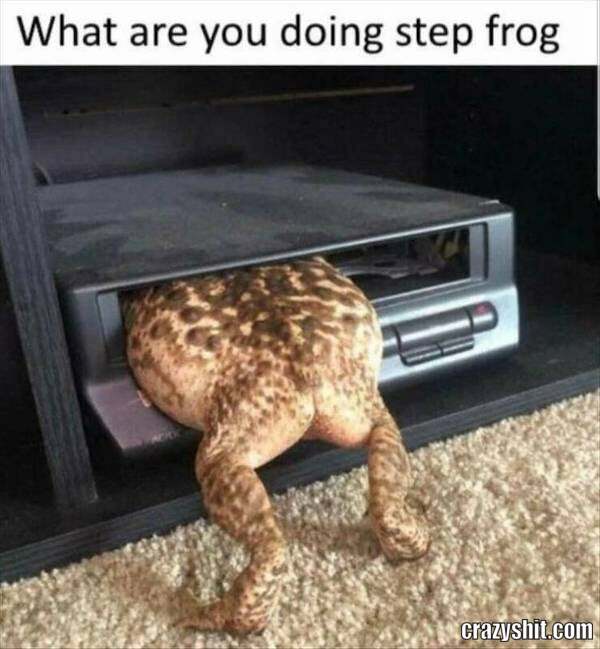 Oh No Froggy Stuck