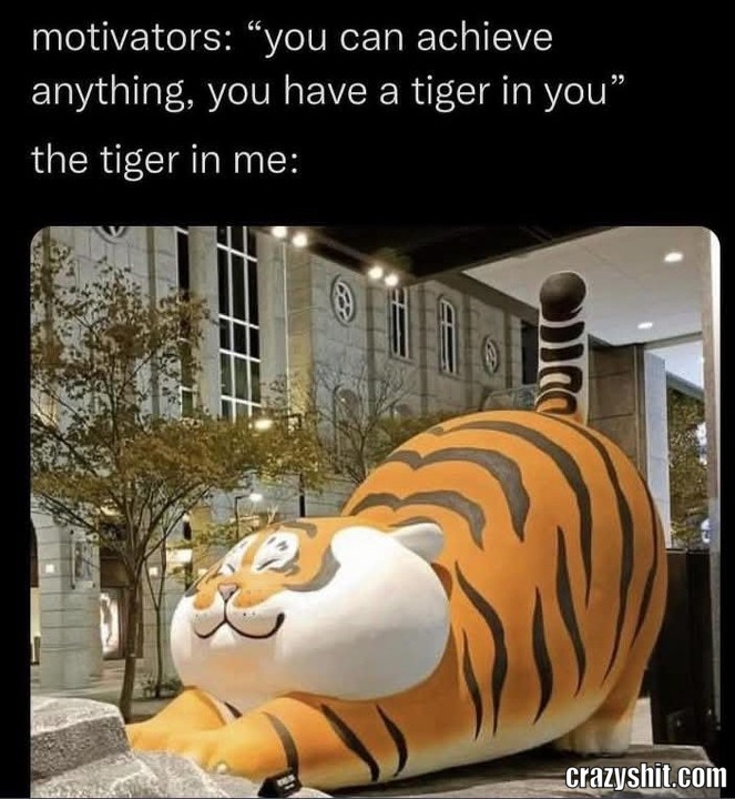 The Tiger Still Sleeps