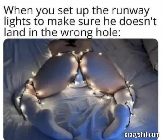 Follow The Lights