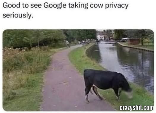 Protect The Cows