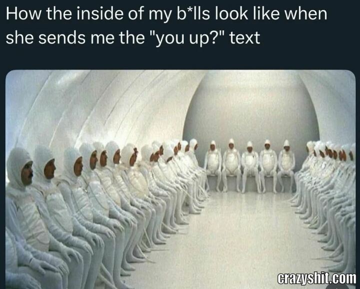 Buckle Up Boys