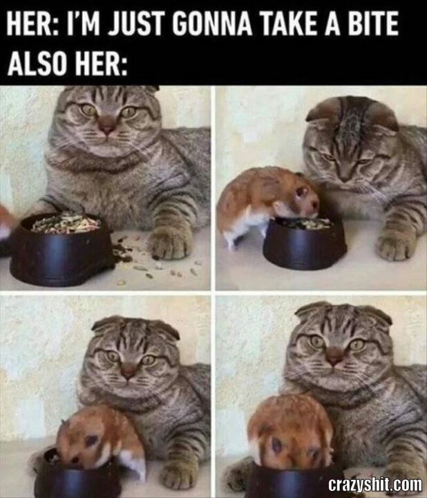 take a bite