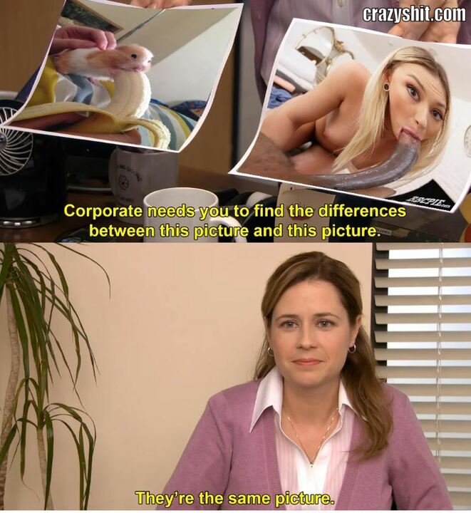 They Look The Same