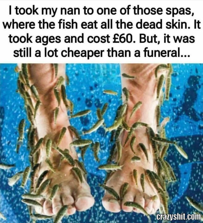 Well Don't Judge