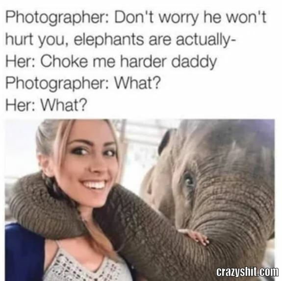 Thet Are Harmless
