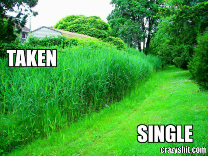 taken/singel