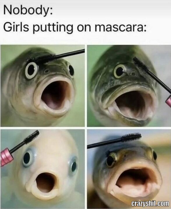 masara