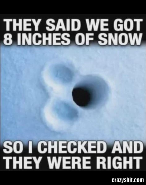 Just Checking