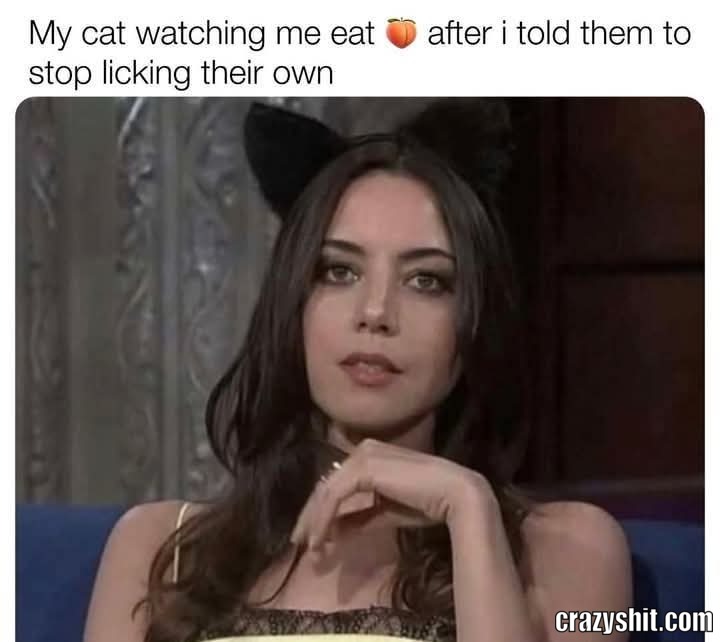 You Are A Liar