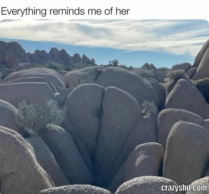 Slide It In