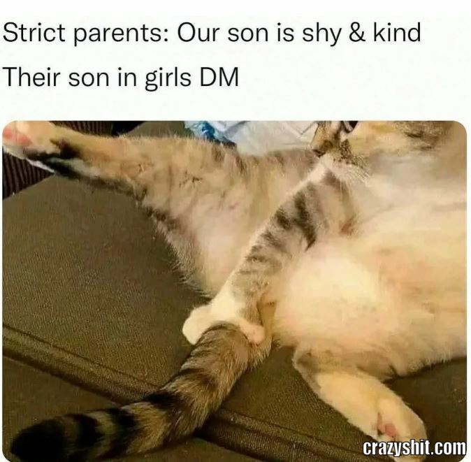 Not That Shy After All