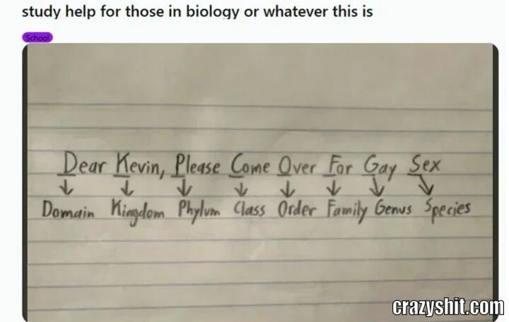 Well It Makes Sense