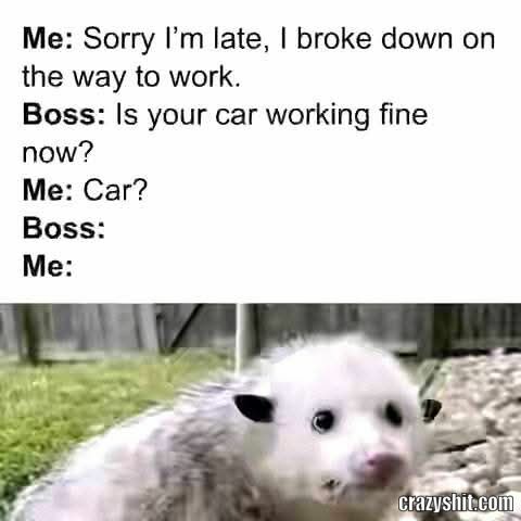 Sorry I Was Late