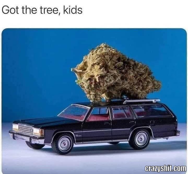 Got A New Tree