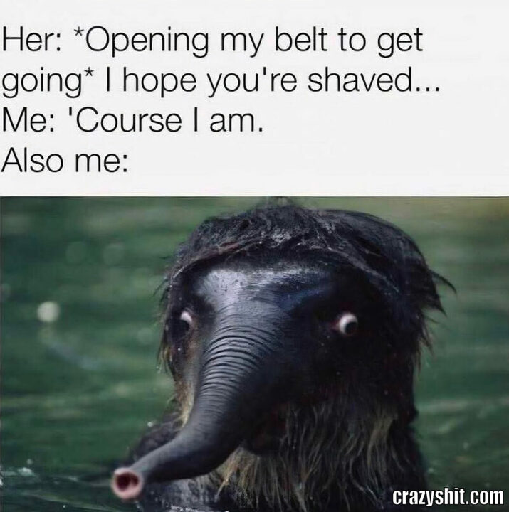 her open my belt to get