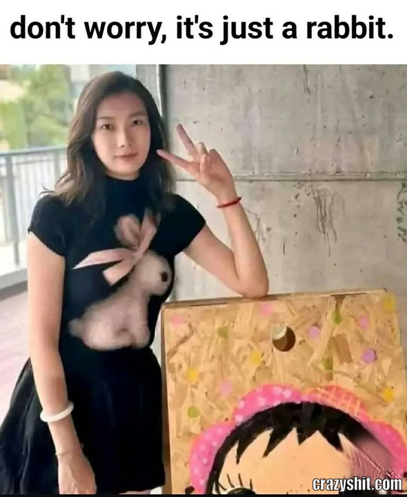 Not What It Seems