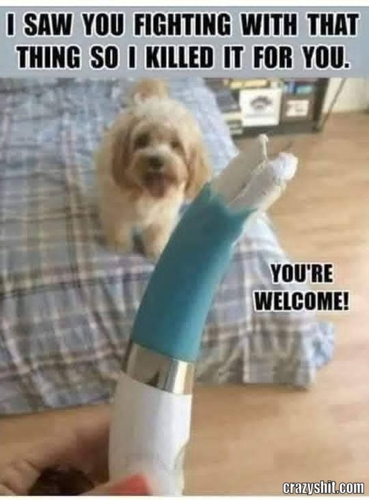 I Halped You