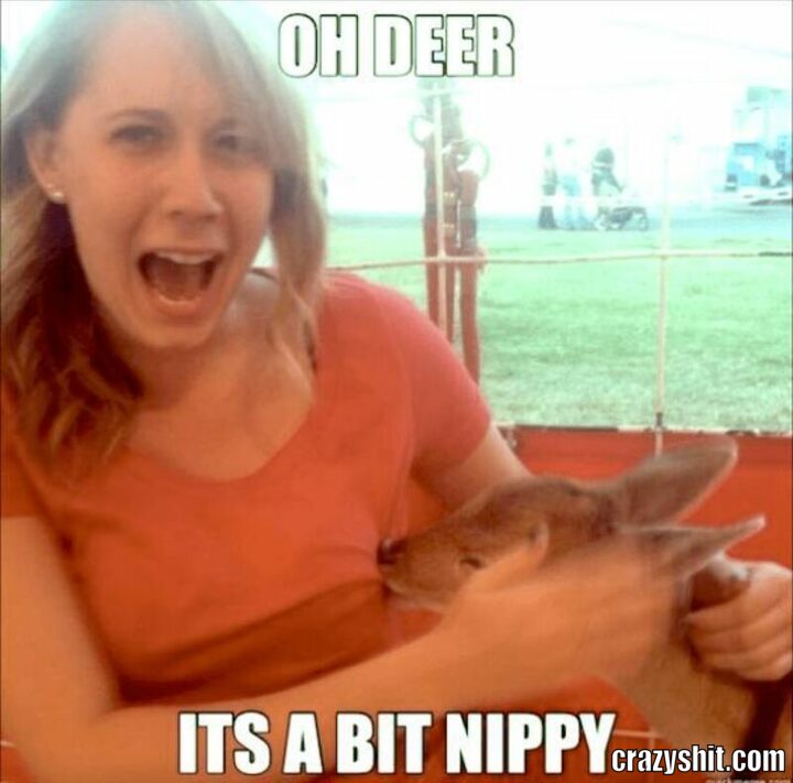 nippy