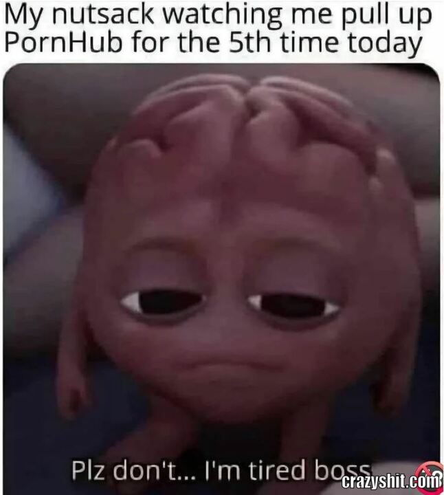 Please Boss
