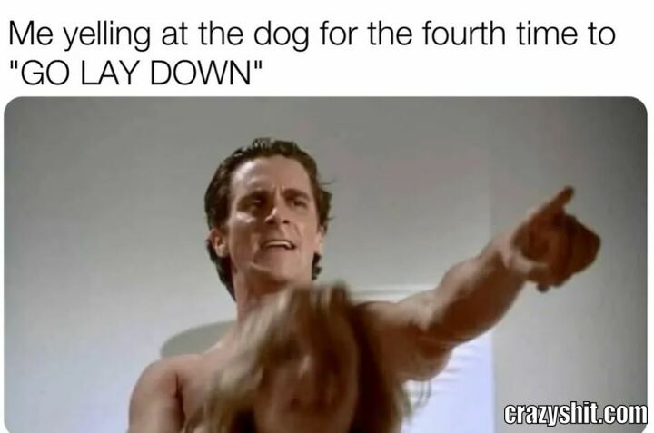 Sit Down