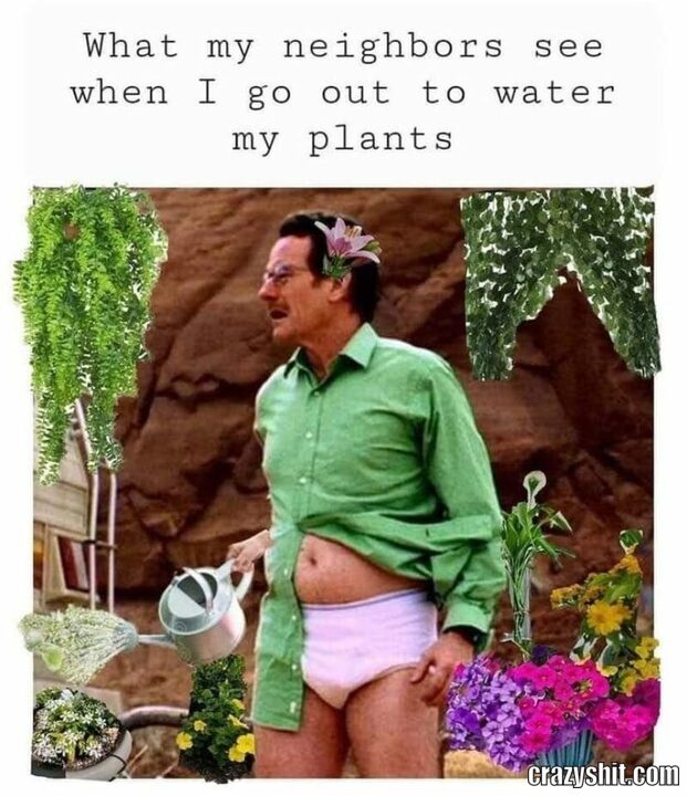 water my plants