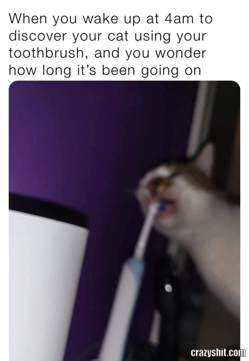 What Are You Doing