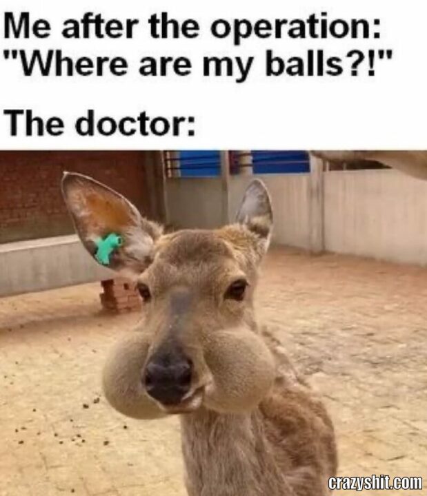 balls