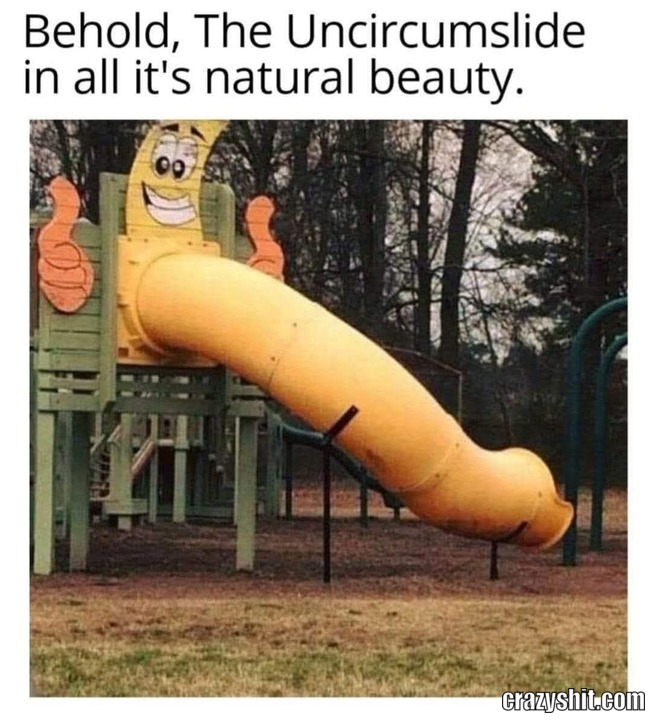 What The Fuck Slide