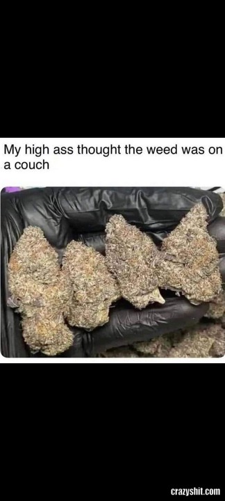 Weed on Couch