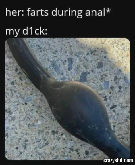 Blow Up The Dick