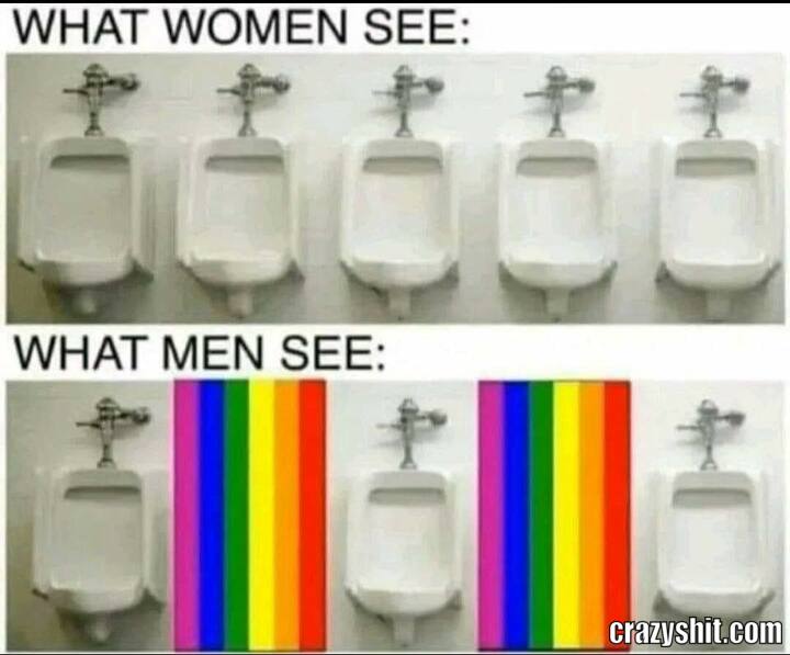 Their Point Of View