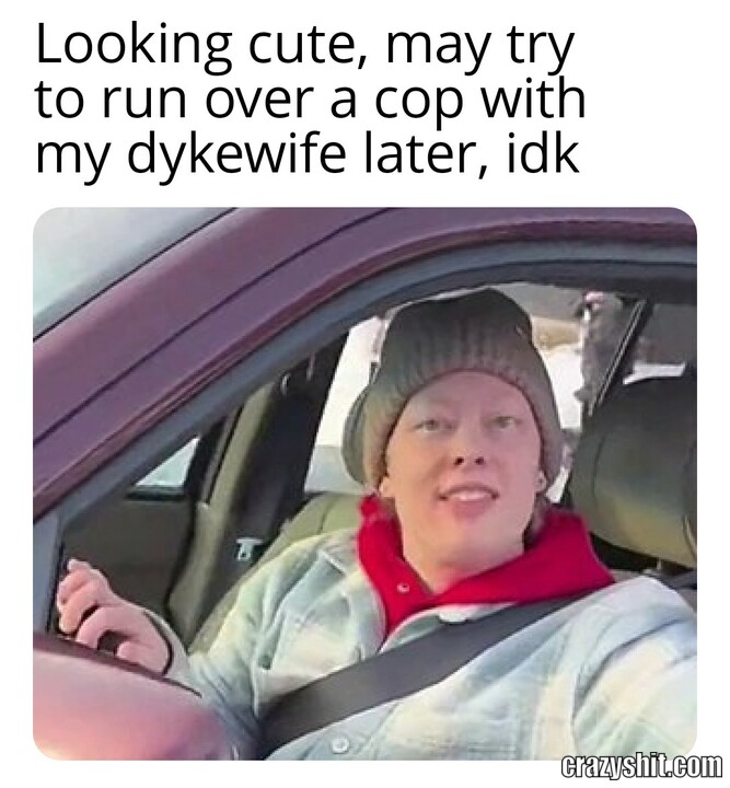 Dykewife Manslaughter