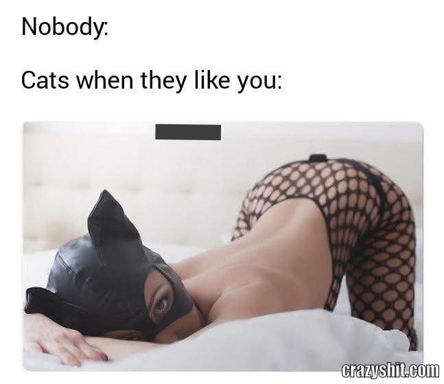 They Like You