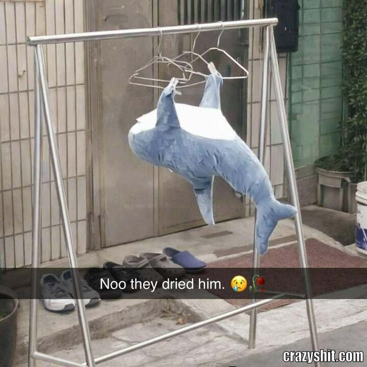 The Poor Thing