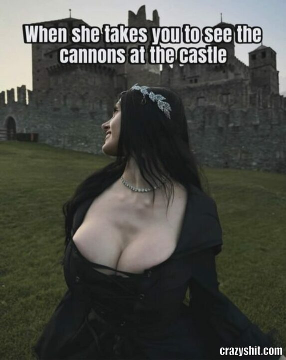 cannon