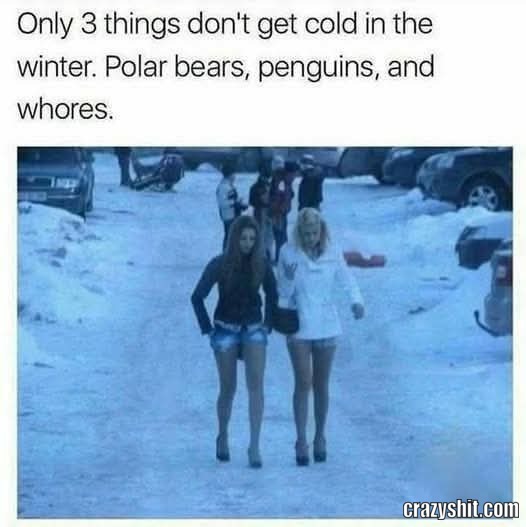 They Are Not Cold