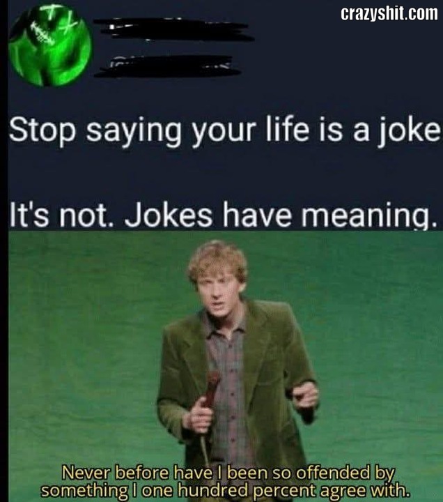 No Meaning In Life