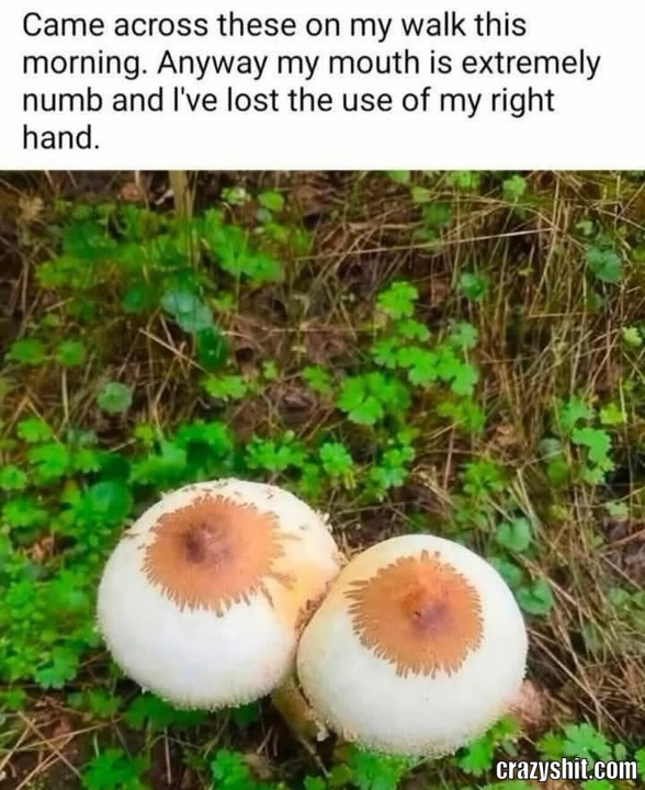 WORTH IT!