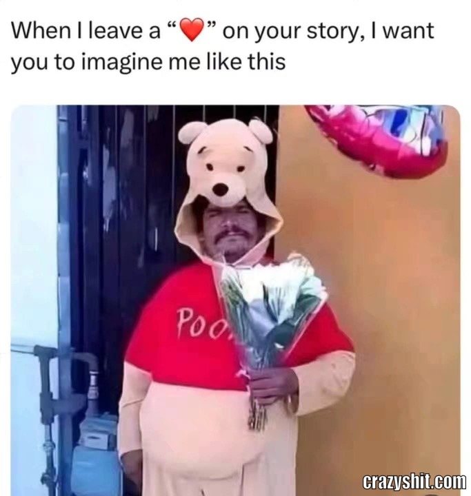 Little Bear Of Love
