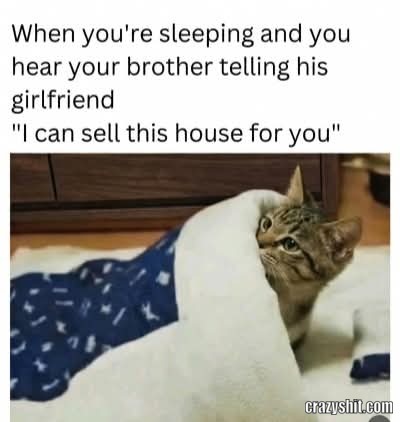 Oh No Our House