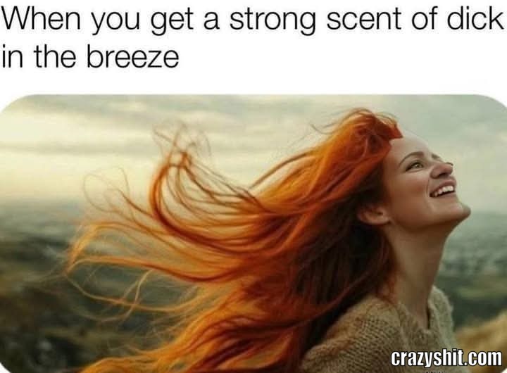 It's In The Air