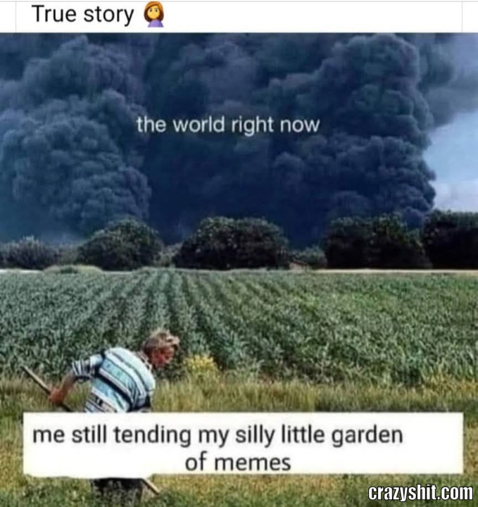 Time For Memes