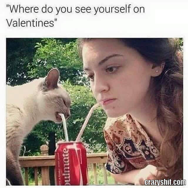 My Plans